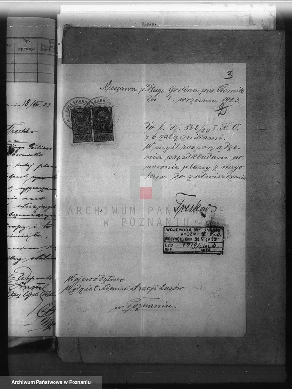 Obraz 7 z jednostki "Nadzór nad gospodarką w lasach majętności Nieszawa powiat obornicki"