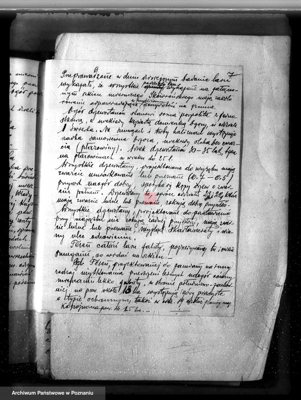 Obraz 11 z jednostki "Majątek Grabienice powiat koniński /nadzór nad gospodarką leśną/"