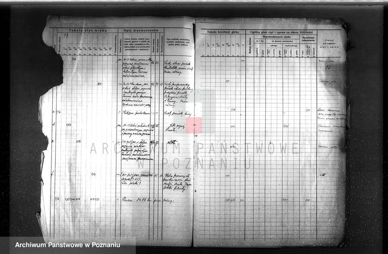 image.from.unit.number "Plan urządzenia gospodarstwa leśnego dla lasu majętności P. Griesera powiat szamotulski 1930-1940"