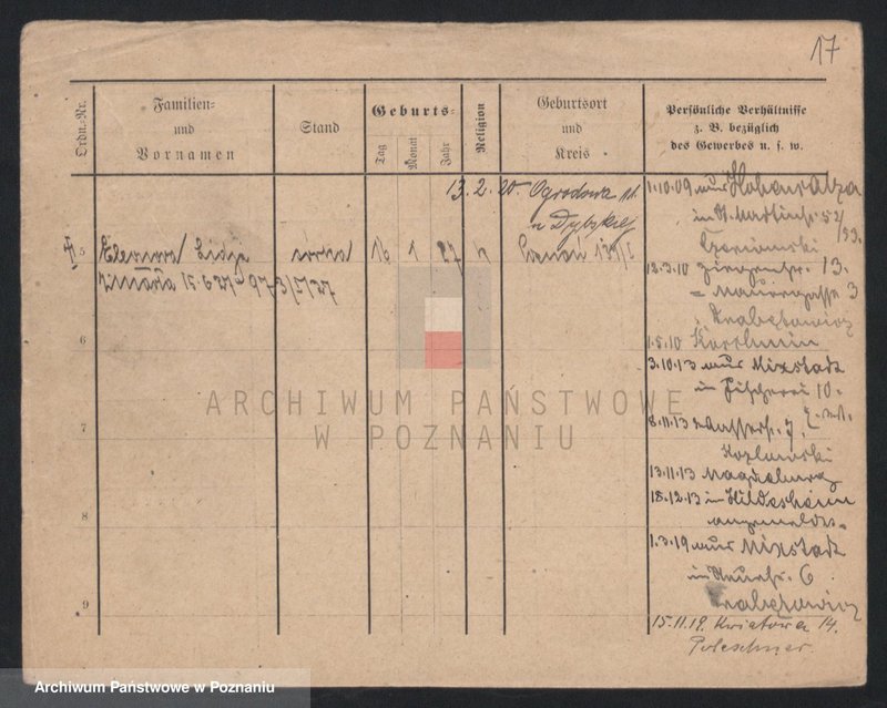 Obraz 19 z jednostki "Dornat - Drachowski"