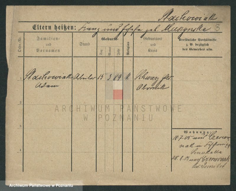 Obraz 8 z jednostki "Stachowiak (samotni mężczyźni i kobiety)"