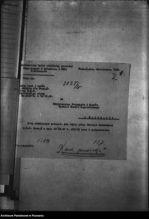 Obraz 6 z jednostki "Przemytnictwo koni"