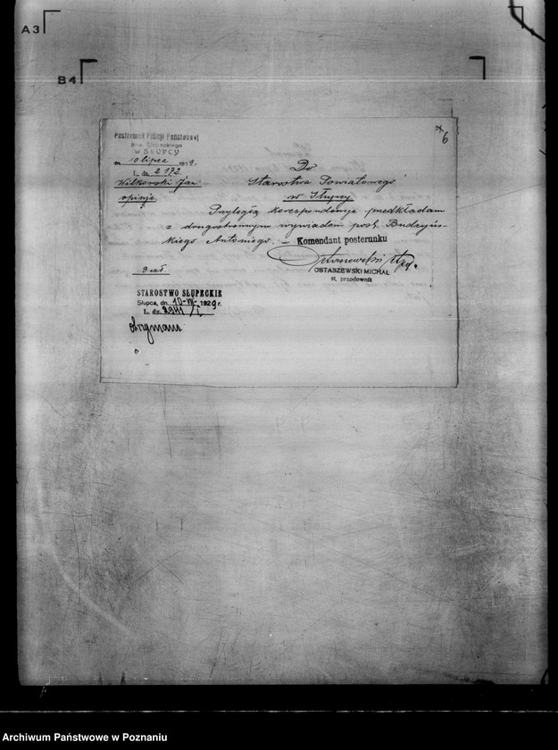 Obraz 10 z jednostki "Koło Myśliwskie w Słupcy powiat koniński"