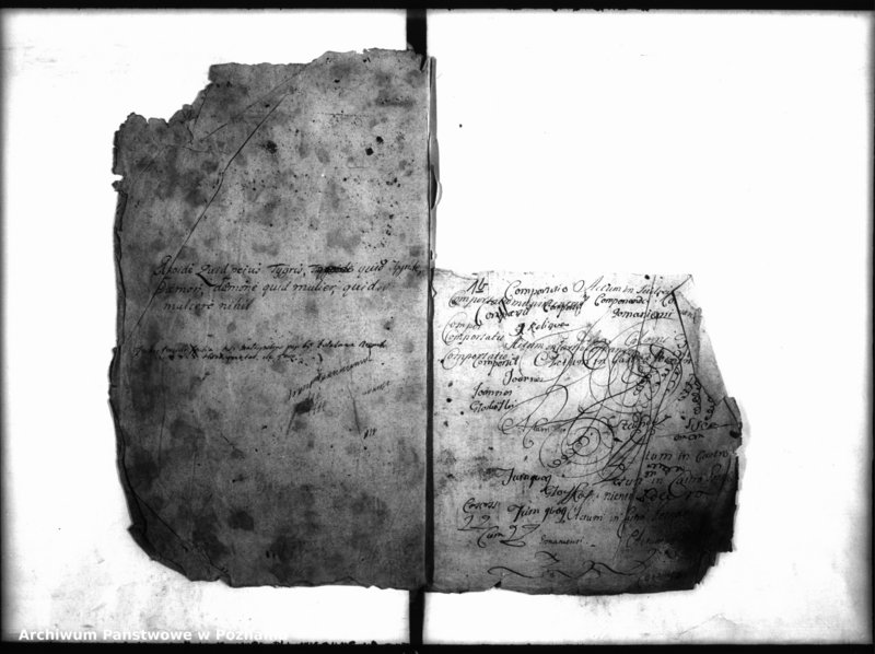 Obraz 5 z jednostki "Inscriptiones, resignationes [protocollon]"