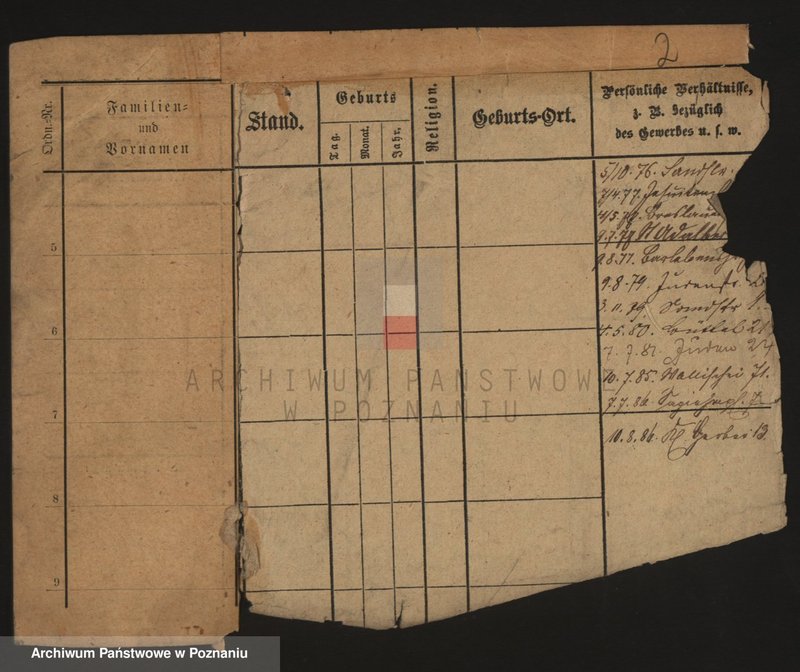 Obraz 7 z jednostki "Szwarc (żonaci i wdowy)"