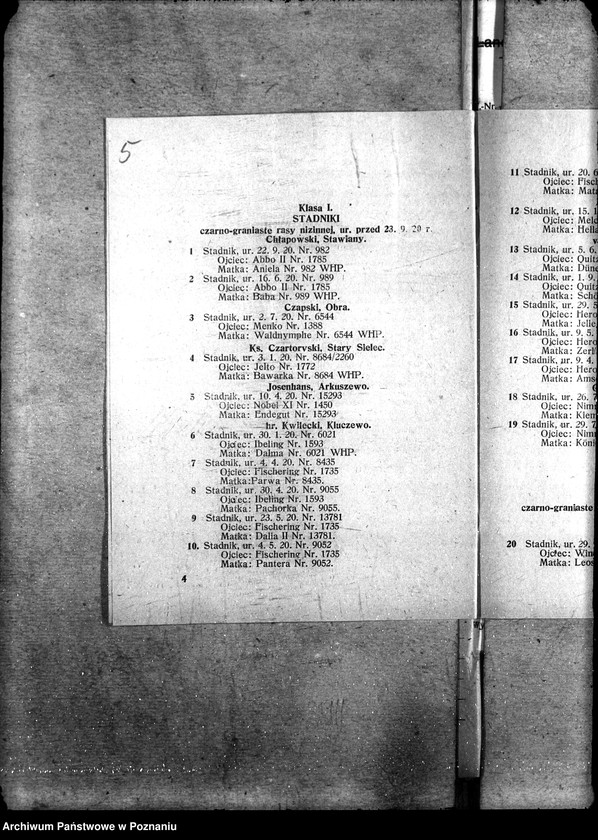 image.from.unit.number "Sprawy szczegółowo-administracyjne Aukcje inwentarza i wystawa"