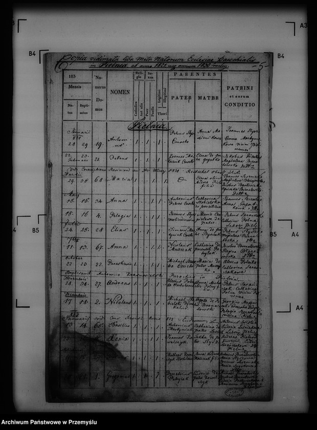 image.from.unit.number "[Kopie ksiąg metrykalnych parafii Pielnia z filiami Dudyńce, Pobiedno, Jędruszkowice, Markowice, Podgaj (dekanat Buków)]"