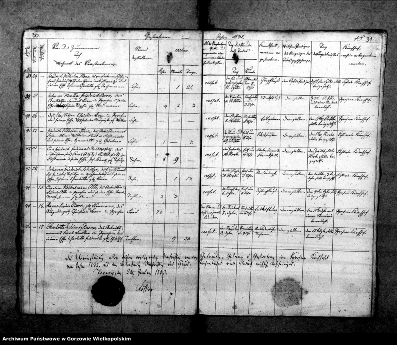 Obraz 20 z jednostki "Duplikate der Kirchenbücher von Pyrehne (Pyrzany): Pyrehne (Pyrzany), Woxholländer (Oksza), Logau (Łagów), Schützensorge (Kłopotowo), Pyrehner Holländer (Pyrzanki), Gross Rehne (Rań), Enterwerder (Kownatki), Stremeltswerder, Radewiesen (Zagajno), Ludwigshof (Okrąglica)."