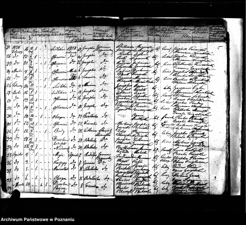 image.from.unit.number "Księga urodzeń, małżeństw i zgonów"