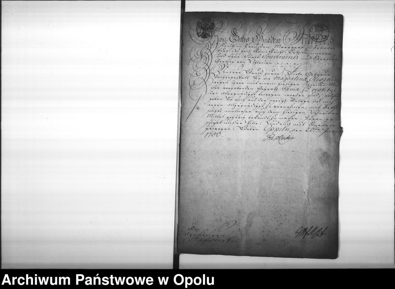 Obraz 7 z jednostki "Acta des Magistrats zu Oppeln betreffend die Legitimation unehelich erzeugter Kinder und Personen Vol. I"