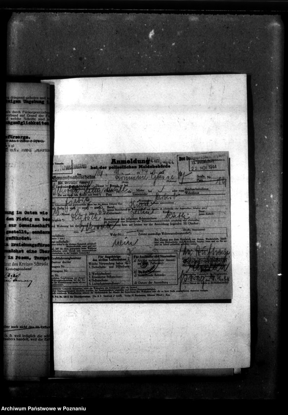 Obraz 19 z jednostki "[Akta personalne wychowanka Ludwika Fiebiga, ur. 10 I 1933]."