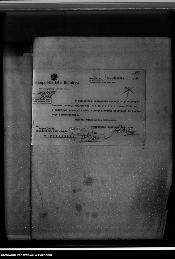 Obraz 14 z jednostki "Majętność /leśna/ Gorzycziki powiat kościański"