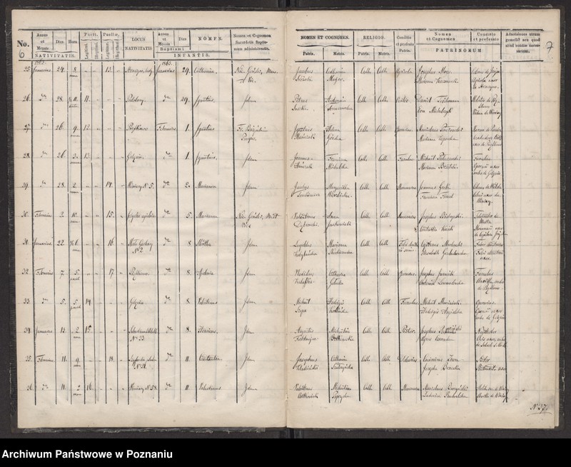 Obraz 6 z jednostki "Księga urodzin"