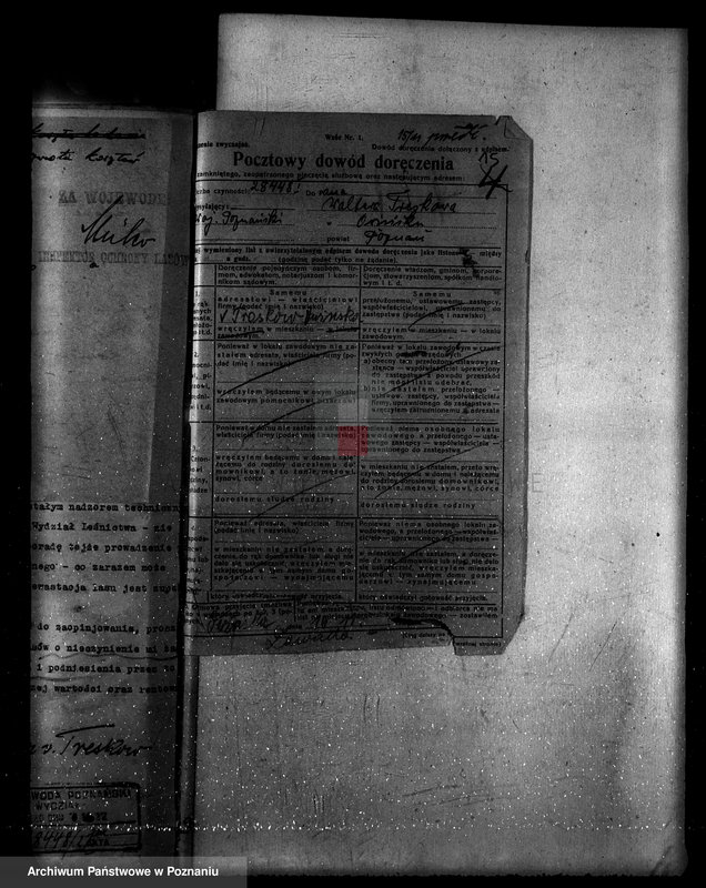 Obraz 19 z jednostki "Nadzór nad gospodarką w lasach majętności Owińska powiat poznański"