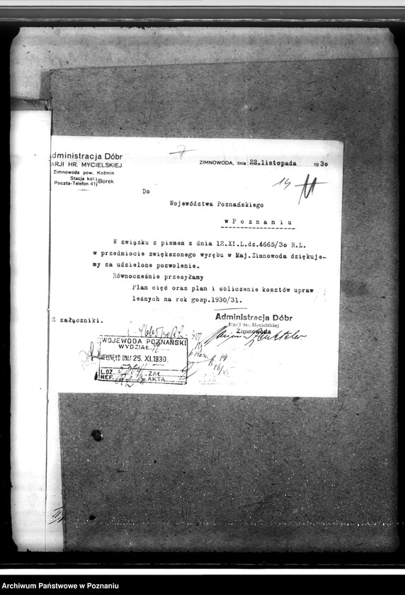 Obraz 18 z jednostki "Majętność leśna Zimnawoda w powiecie gostyńskim"