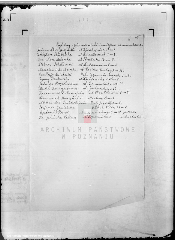 Obraz 10 z jednostki "/Nauczycielskie Koło Sportowe w Poznaniu/"