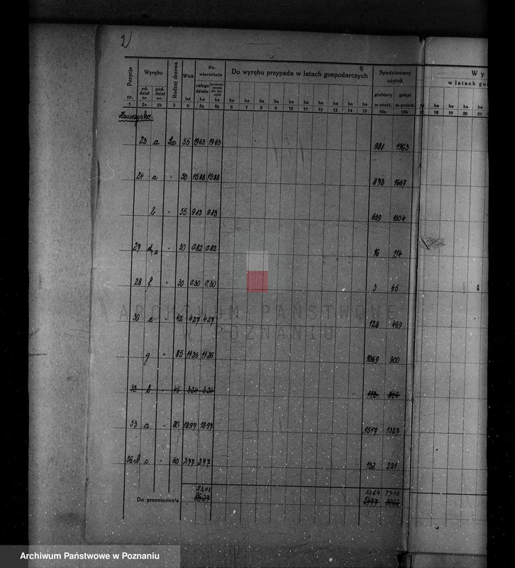 Obraz 8 z jednostki "/Nadzór nad gospodarką leśną w majątku Krucz-Goraj w powiecie czarnkowskim Nadleśnictwo Goraj/"