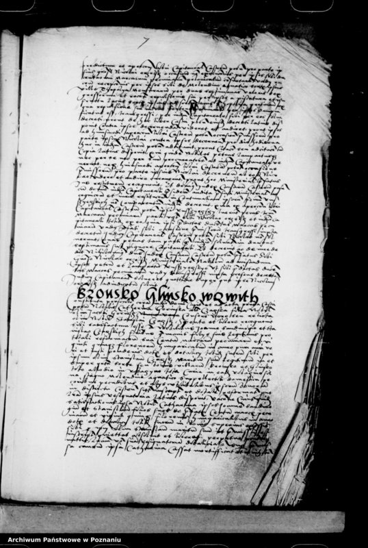 Obraz 15 z jednostki "Inscriptiones, relationes, decreta [inducta]"