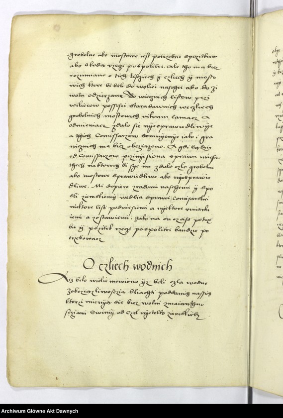 image.from.collection.number "Najstarsza polskojęzyczna konstytucja sejmowa111"