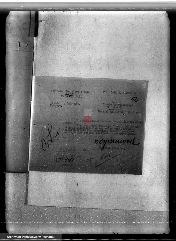 Obraz 16 z jednostki "Sprawa nieprawego wyrębu lasu w majątku Karczew w powiecie kolskim"