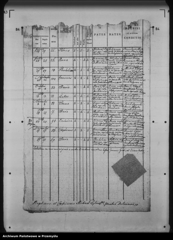 Obraz 20 z jednostki "[Kopie ksiąg metrykalnych parafii Daliowa z filią Szklary (dekanat Rymanów)]"