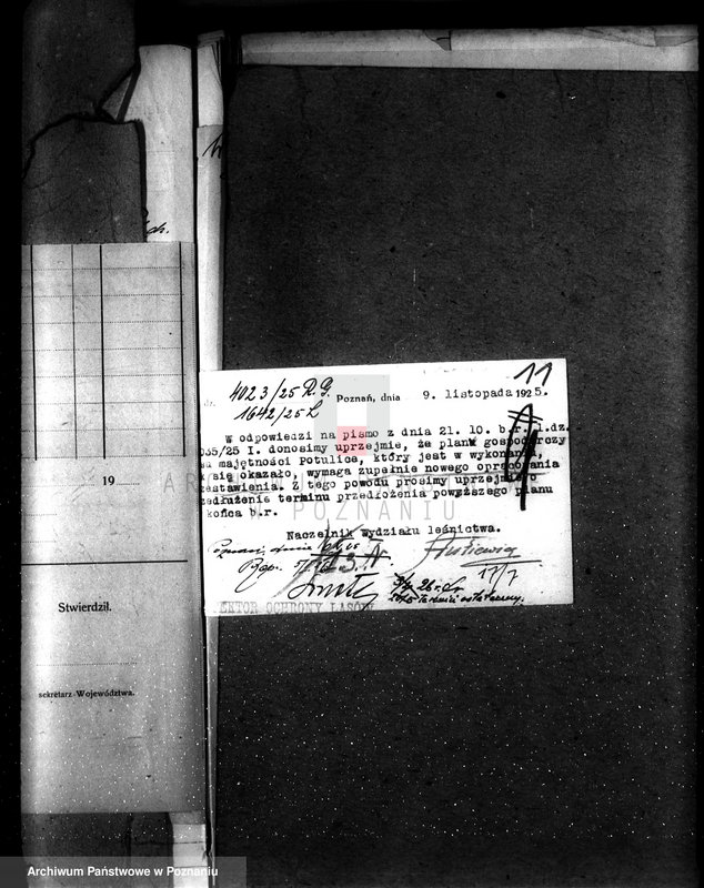 Obraz 15 z jednostki "Majętność leśna Potulice powiat wągrowiecki"