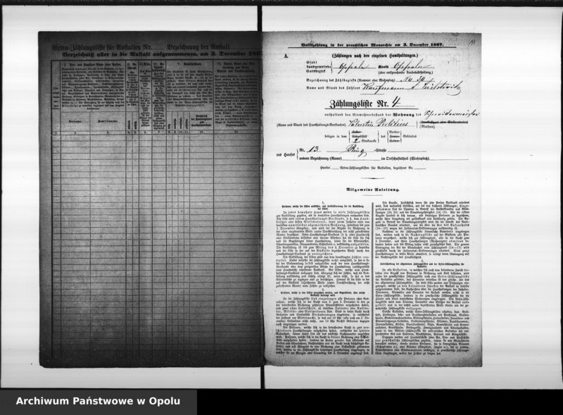 Obraz 13 z jednostki "[Okręg spisowy Nr 30. Spis ludności, 3 XII 1867]"