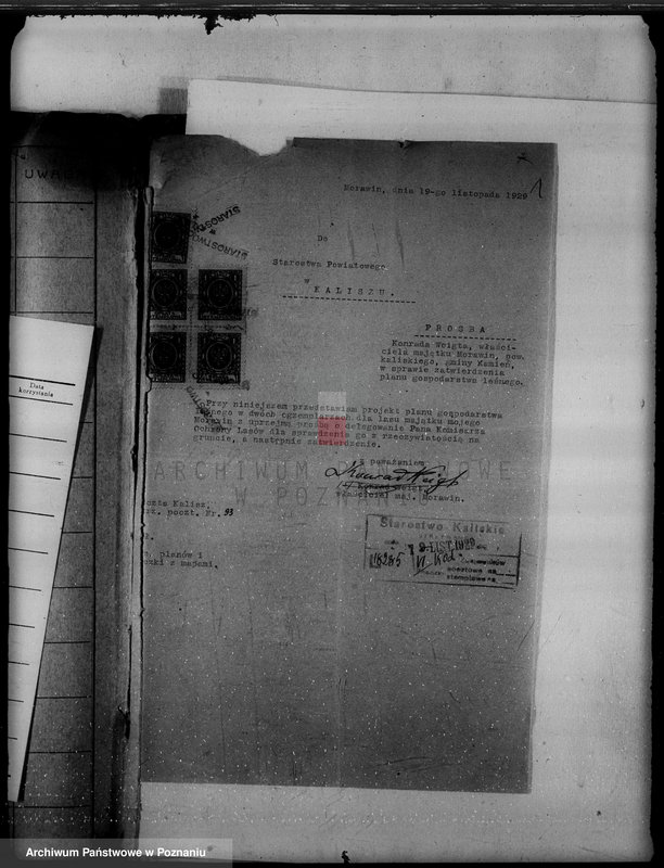 Obraz 5 z jednostki "Wyłączenie obszarów leśnych majątku Morawin powiat kaliski"