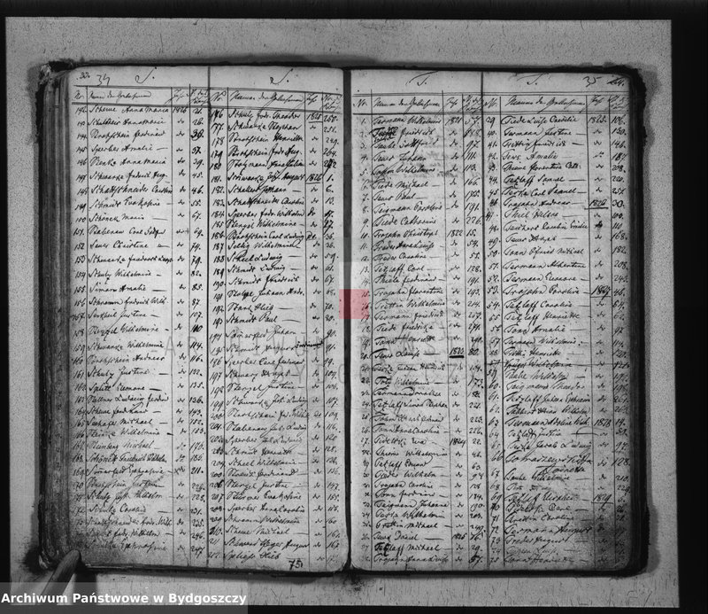 Obraz 20 z jednostki "Sumariusz urodzeń"