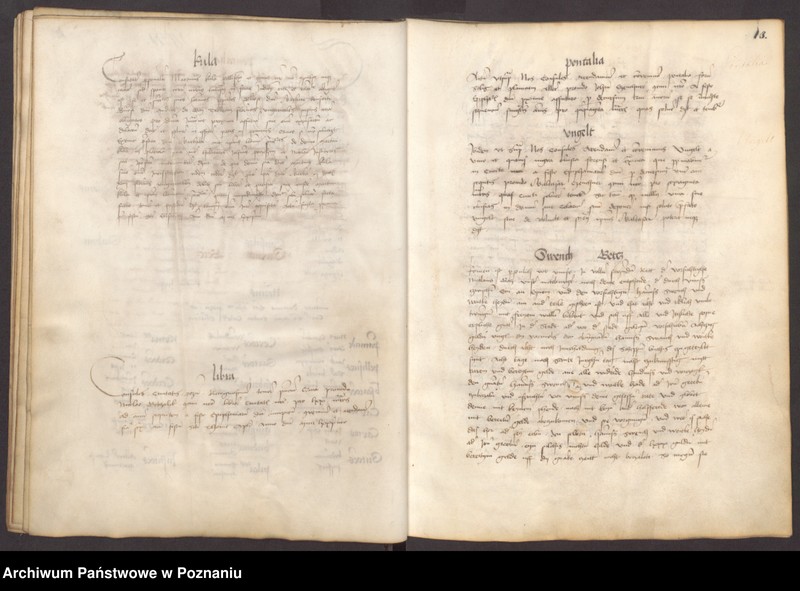 Obraz 16 z jednostki "Liber actuum et mandatuum ...consulum Liber ab anno 70 ad 94-tum."