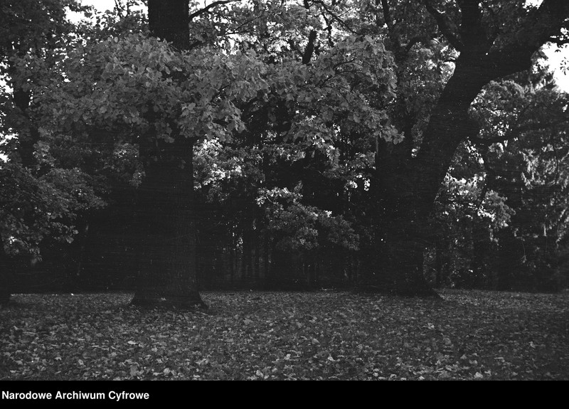 image.from.object.part1 image.from.object.part2