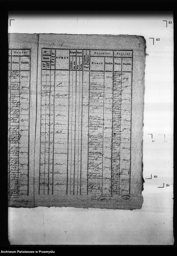 Obraz 9 z jednostki "[Kopie ksiąg metrykalnych parafii Hruszów z filiami Budomierz, Kłonice, Szczepłoty (dekanat Niemirów)]"