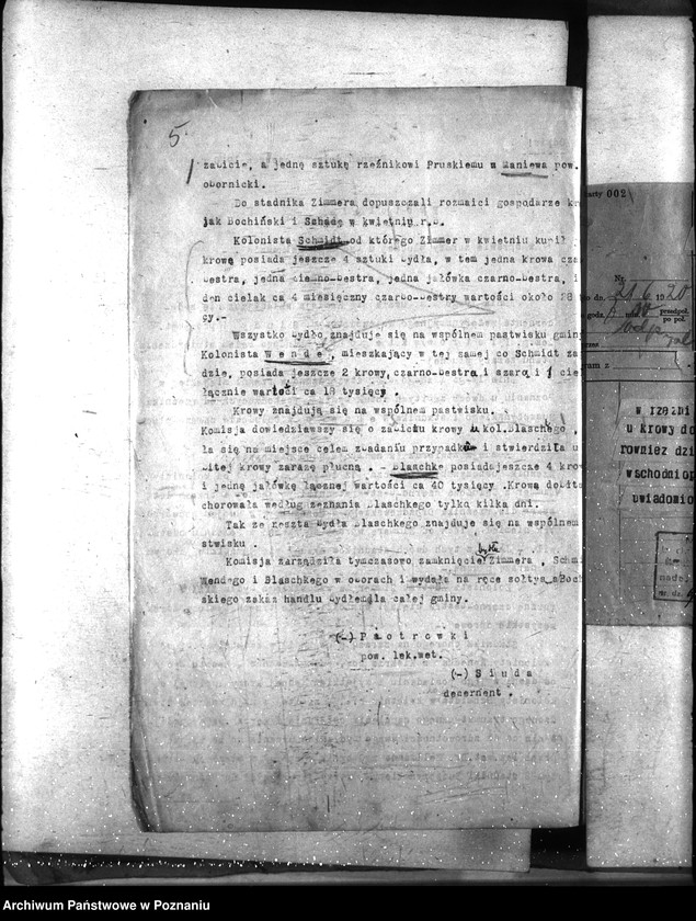 Obraz 9 z jednostki "Zaraza płucna - Poznań-Wschód"