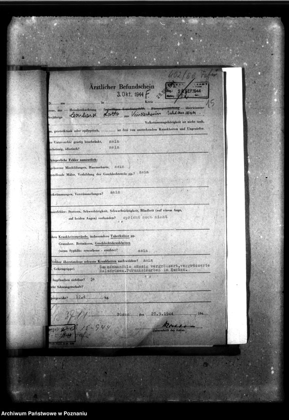 Obraz 19 z jednostki "[Akta personalne wychowanka Leonarda Lotto, ur. 8 XII 1941]."