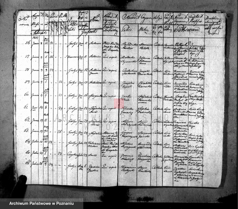 image.from.unit.number "Liber baptisatorum, copulatorum, mortuorum"