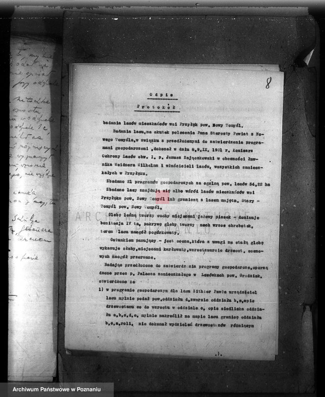 Obraz 12 z jednostki "/Nadzór nad gospodarką leśną/ protokoły badania lasów, programy gospodarcze powiat nowotomyski"