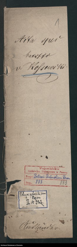 Obraz 2 z jednostki "A. betr. Boleslaus und Karl von Kossowski"