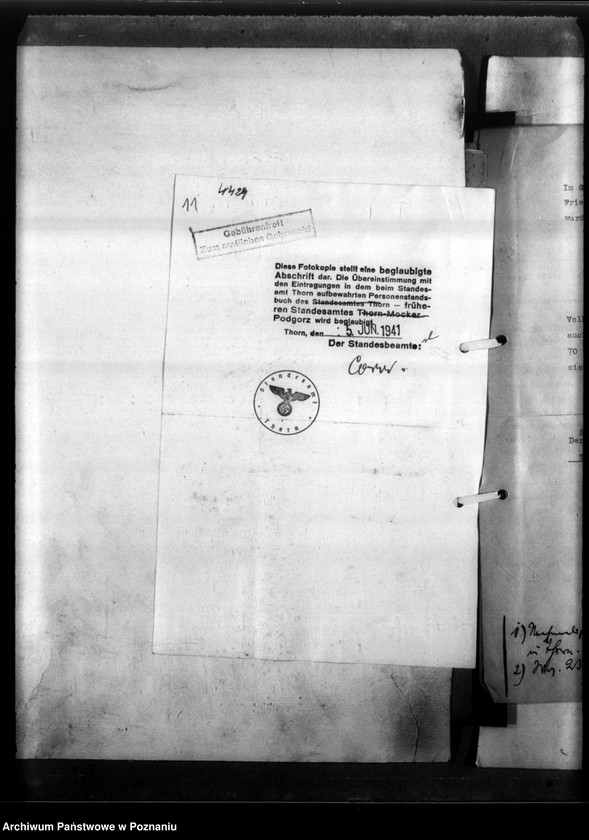 Obraz 15 z jednostki "Frieda Lange - Thorn Lüd (Toruń)"