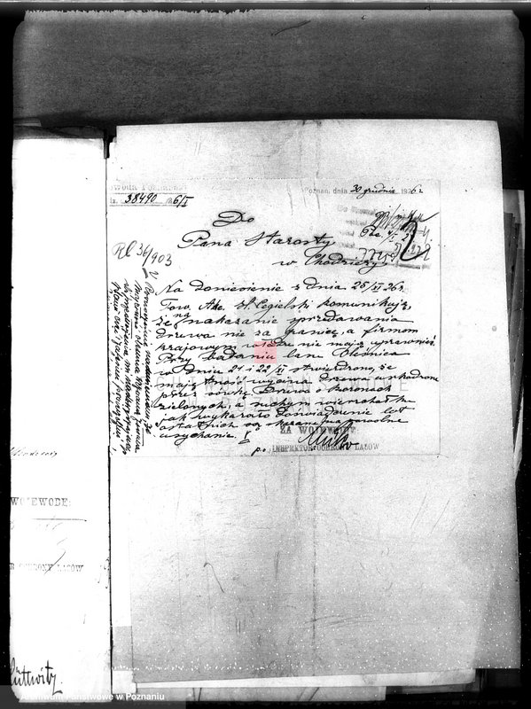 Obraz 8 z jednostki "Majętność leśna Oleśnica w powiecie chodzieskim"