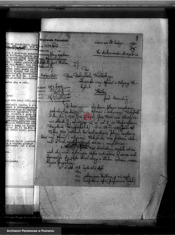 Obraz 13 z jednostki "Nadzór nad gospodarką w lasach majętności Kobylniki powiat kościański"