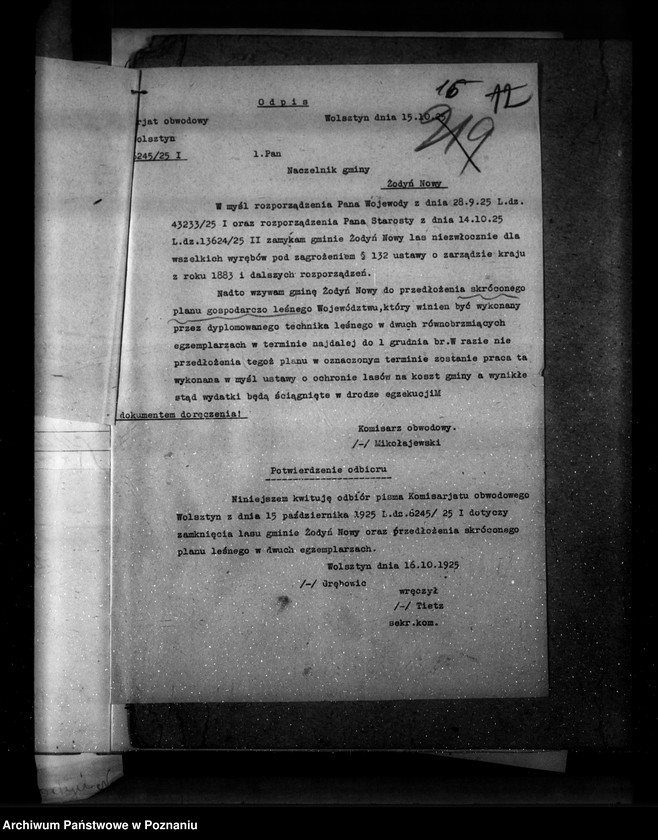 Obraz 20 z jednostki "Las gromady Żodyń Nowy powiat wolsztyński"