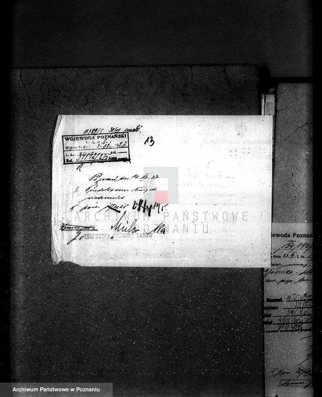 Obraz 18 z jednostki "Majętność leśna Kostrzynek-Mościska powiat wyrzyski"