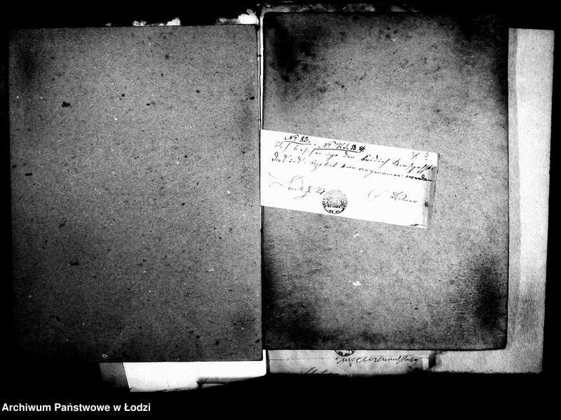 Obraz 13 z jednostki "Dowody przyjętych chorych do szpitala św. Aleksandra w Łodzi w 1861 r."