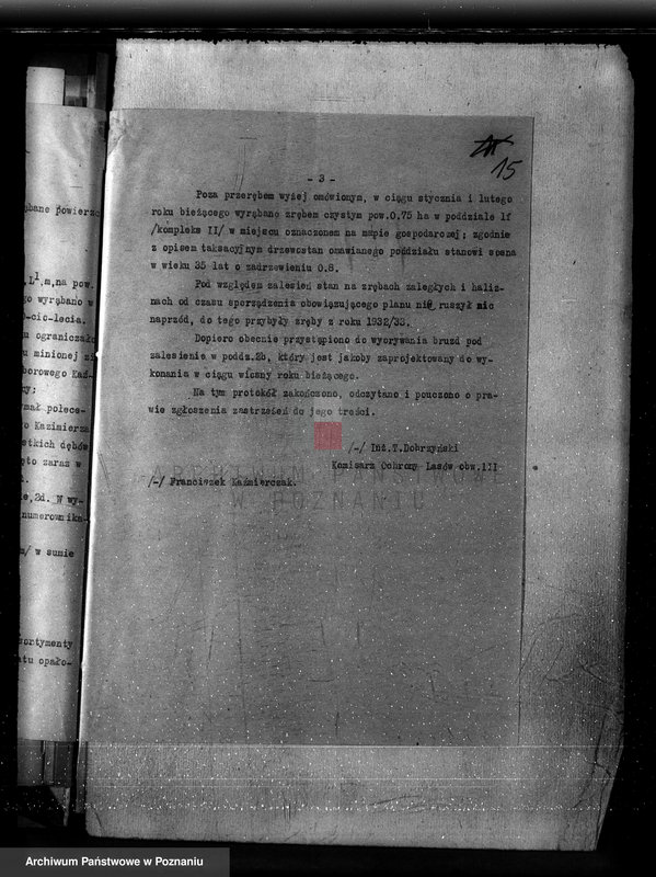 Obraz 19 z jednostki "Nadzór nad gospodarką w lasach majętności Cichowo powiat kościański"