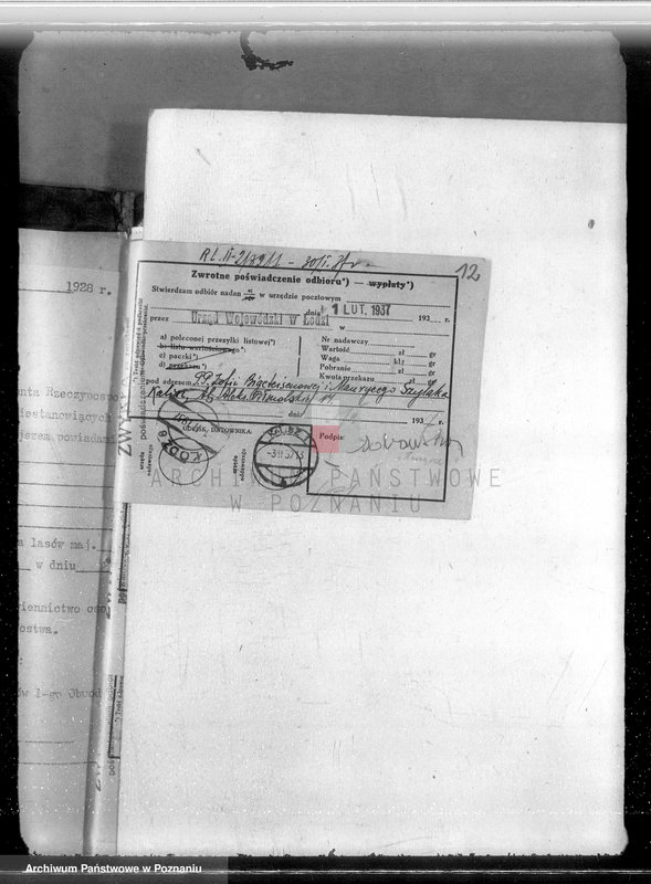 Obraz 16 z jednostki "Majętność /leśna/ Olesiec-Chocz powiat koniński"