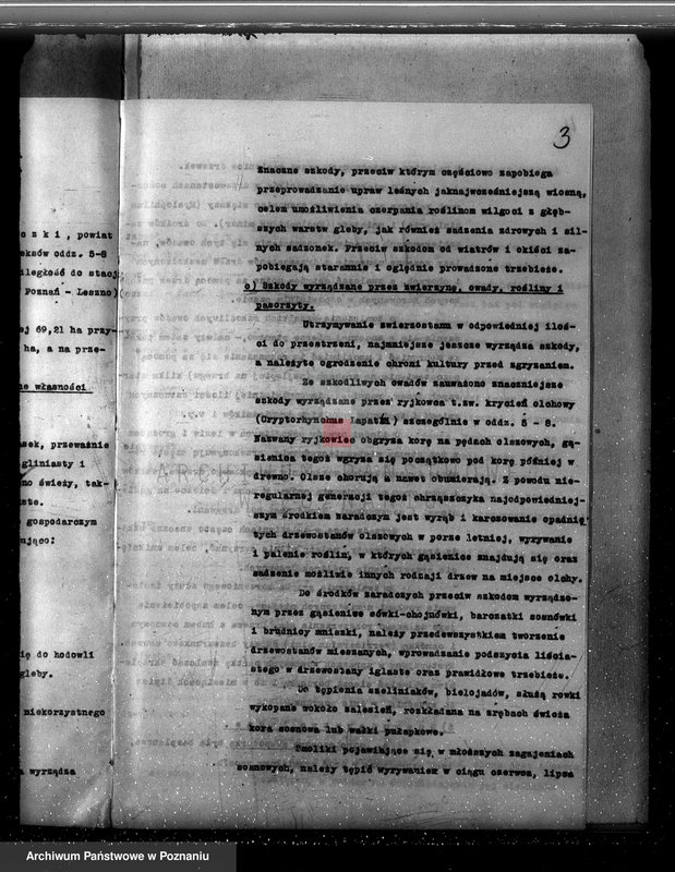 Obraz 7 z jednostki "Plan urządzania gospodarstwa leśnego dla lasu majętności Gorzyczki powiat kościański"