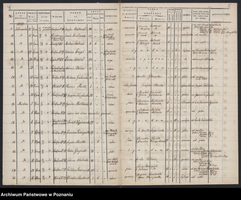 Obraz 5 z jednostki "Księga zgonów"