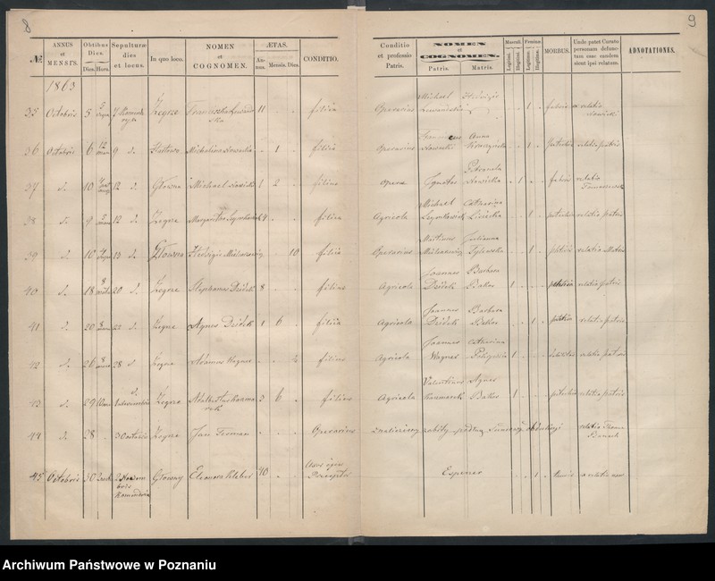 Obraz 6 z jednostki "Księga zgonów"