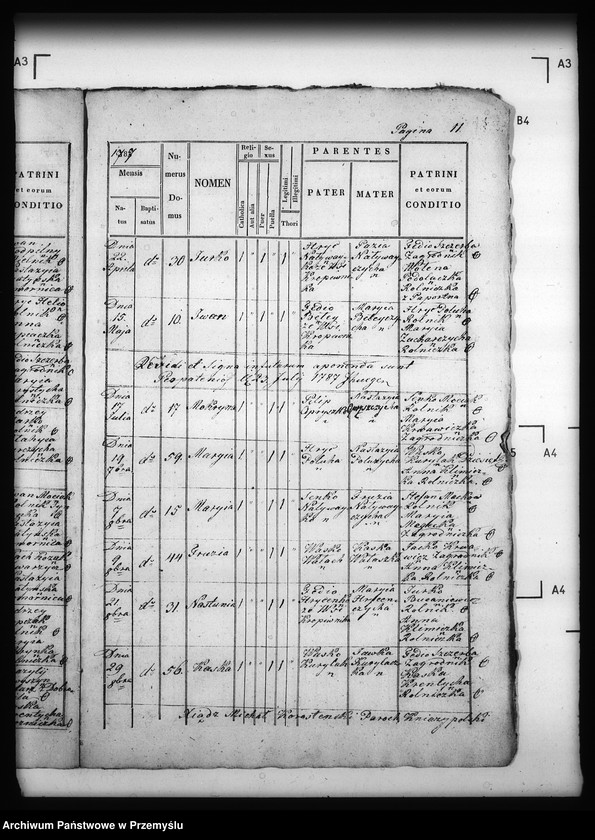 Obraz 15 z jednostki "[Kopie ksiąg metrykalnych parafii Kniażpol z filią Kropiwnik (dekanat Dobromil)]"