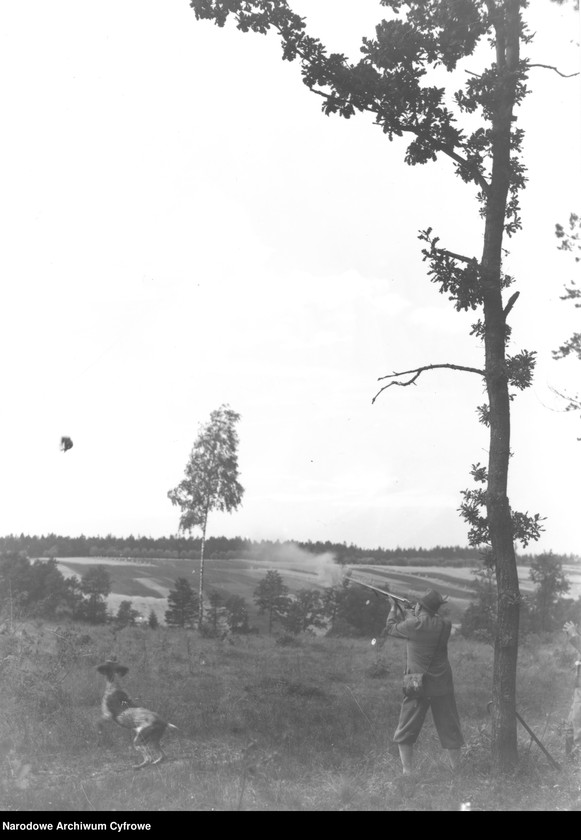 Obraz 4 z jednostki "Polowanie w lasach "Burzynek" należących do Stanisława Burzyńskiego"